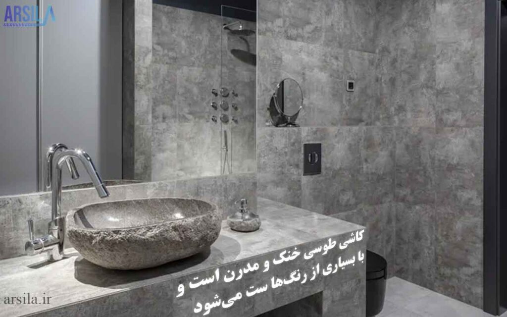 کاشی سرویس بهداشتی طوسی